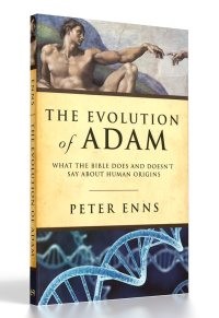 evolution-of-adam